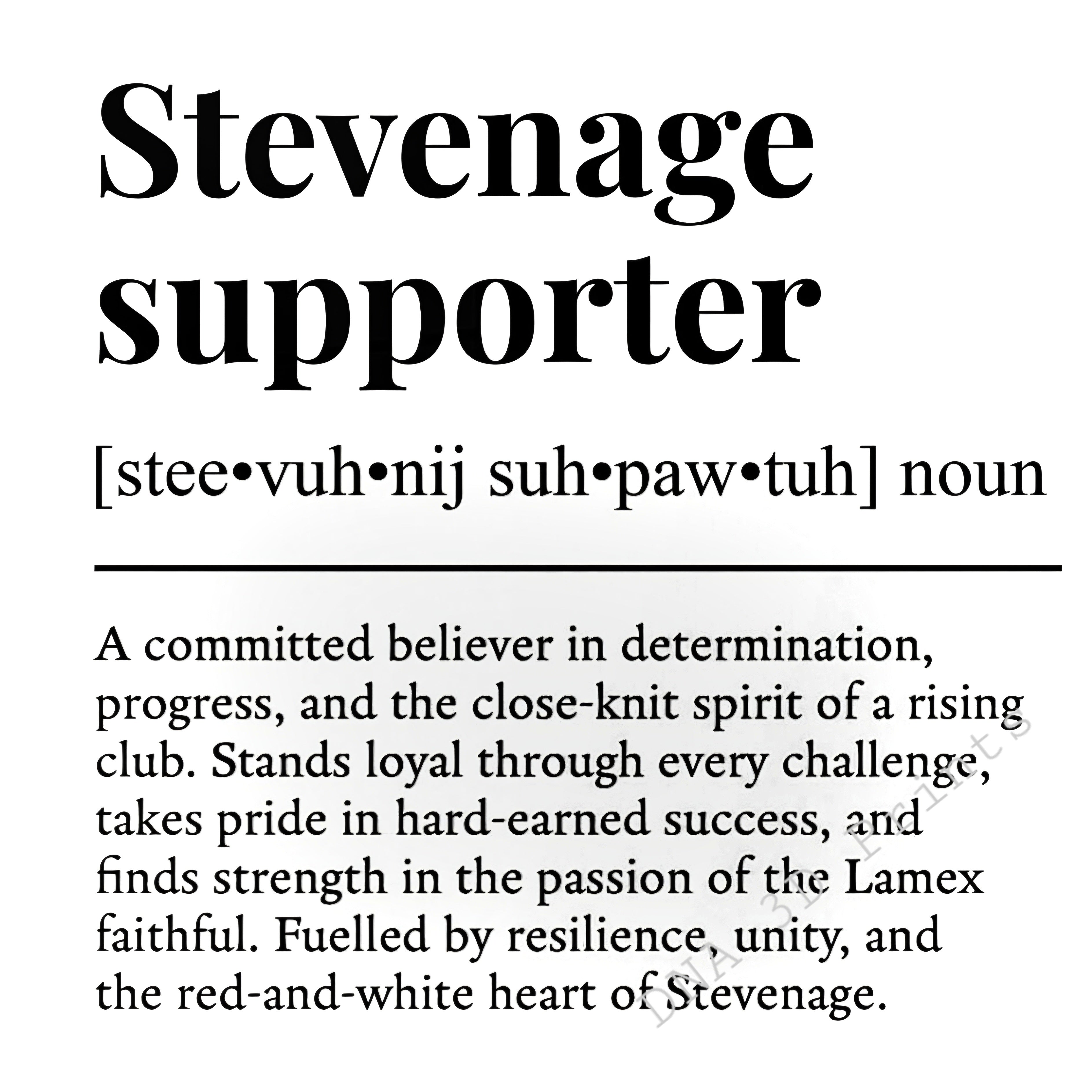 Premium Laser Engraved Football Supporter Definition Slate Coasters 90+ Teams Perfect Gift For Any Fan Tableware