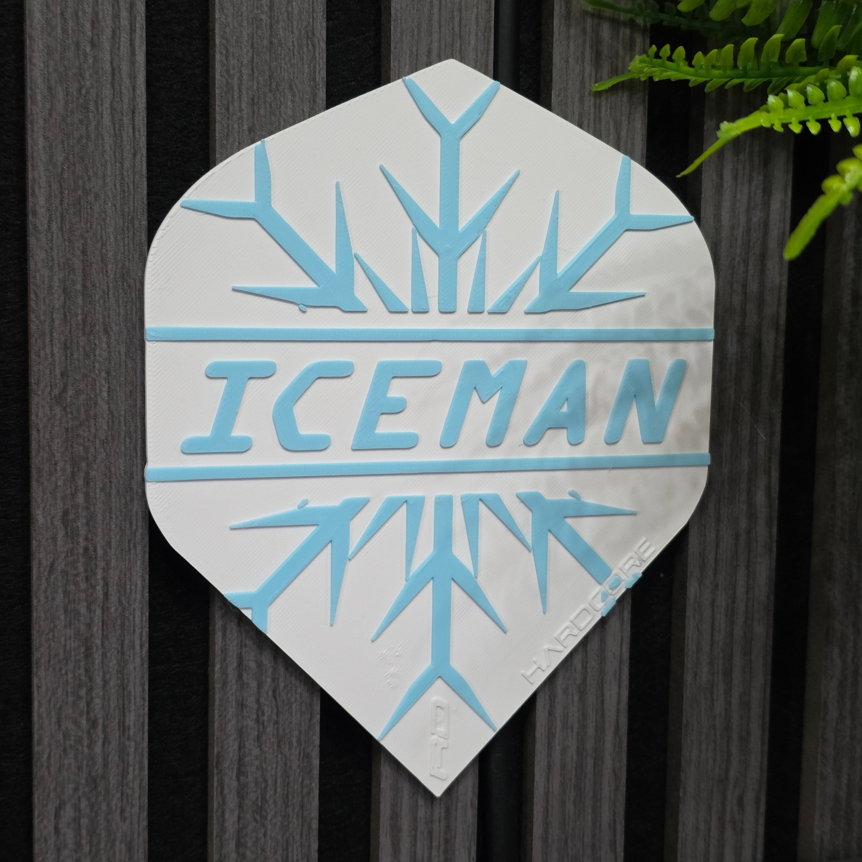 3D Printed Dart Flight Wall Art Home Decor